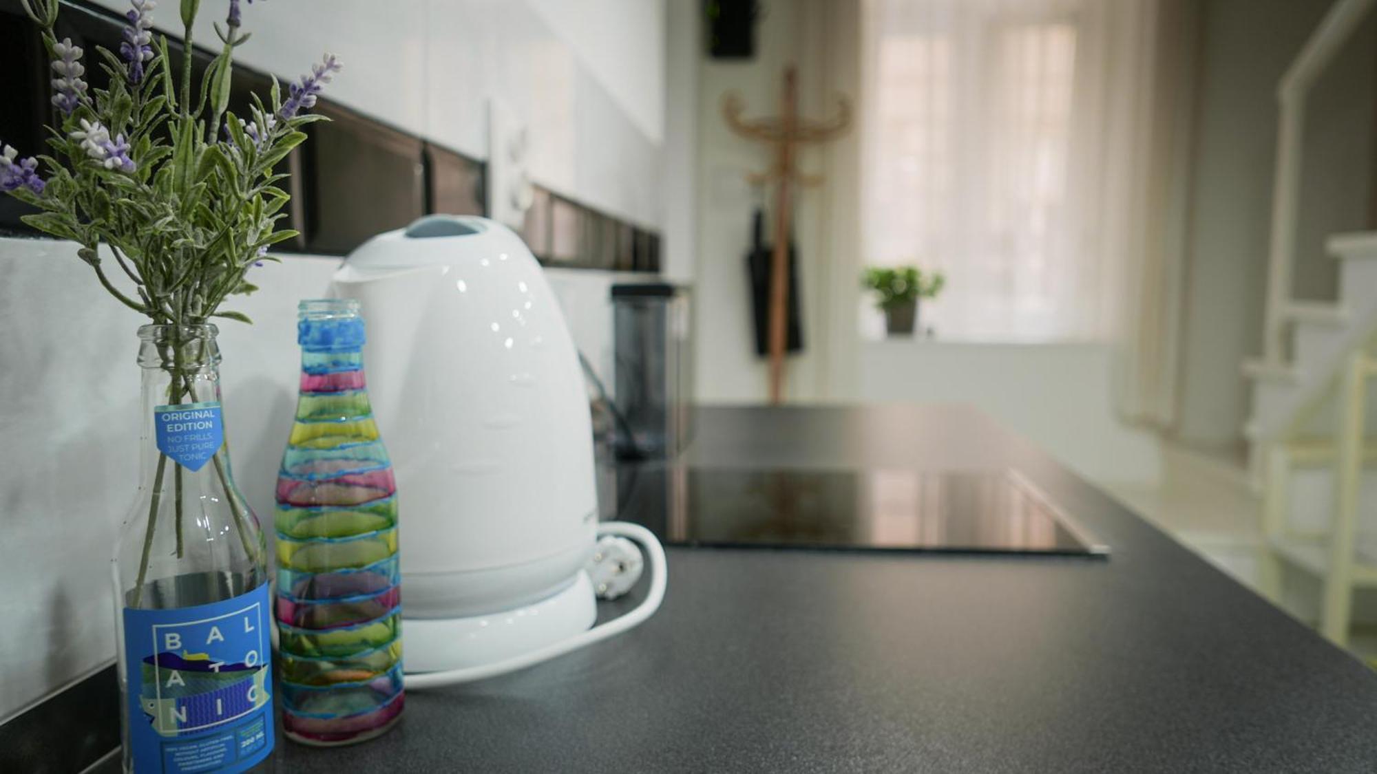 Apartment Spirit With Gallery *